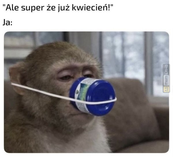 Śmieszny mem: 3279357 - MemLand