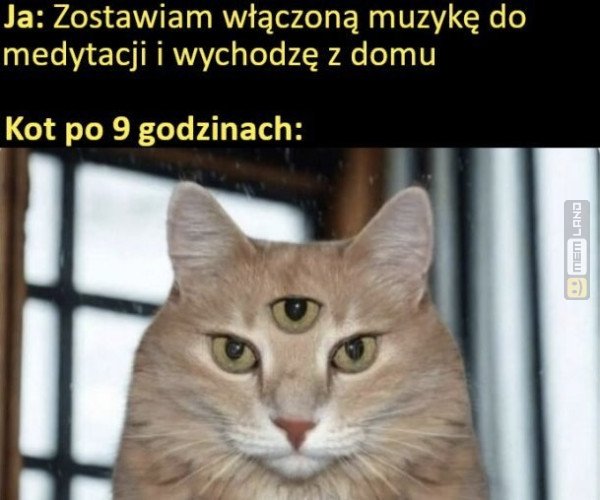 Śmieszny mem: 3283157 - MemLand