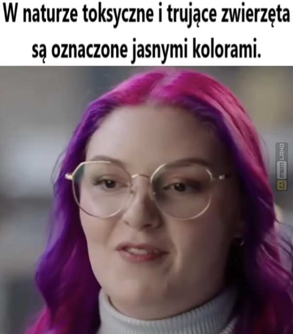 Śmieszny mem: 3293847 - MemLand