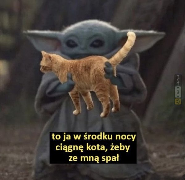 Śmieszny mem: 3294779 - MemLand