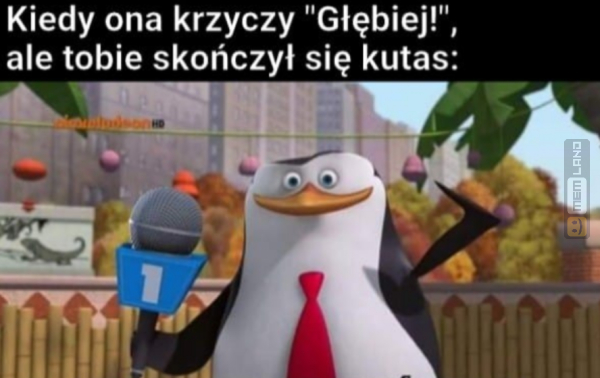 Śmieszny mem: 3297958 - MemLand