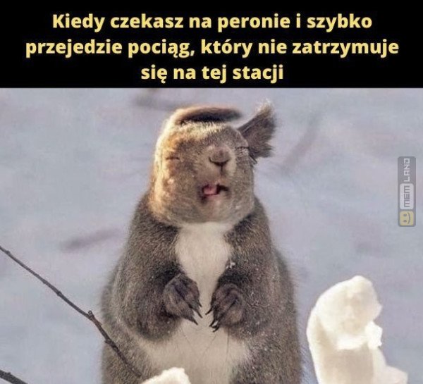 Śmieszny mem: 3302303 - MemLand