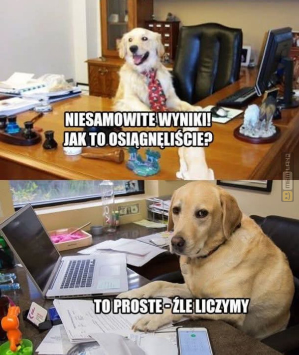 Śmieszny mem: 3307256 - MemLand