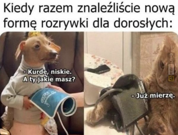 Śmieszny mem: 3309383 - MemLand