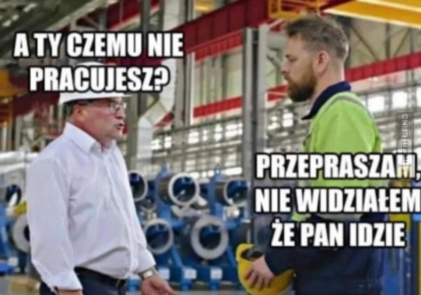 Śmieszny mem: 3310143 - MemLand