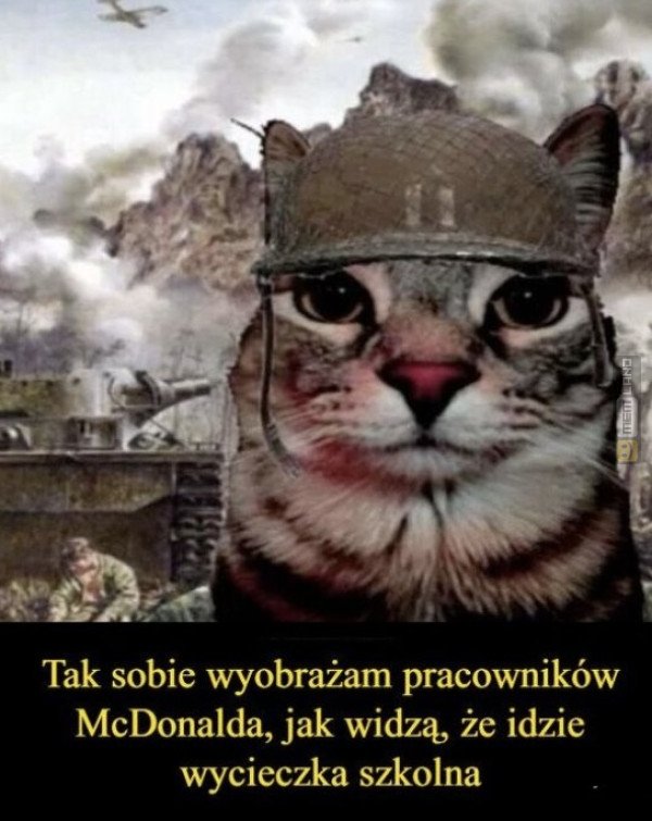 Śmieszny mem: 3313533 - MemLand