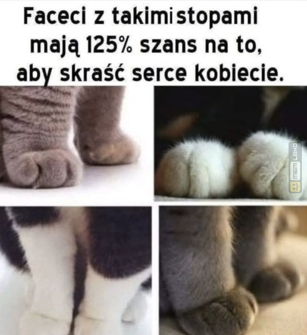 Śmieszny mem: 3314437 - MemLand