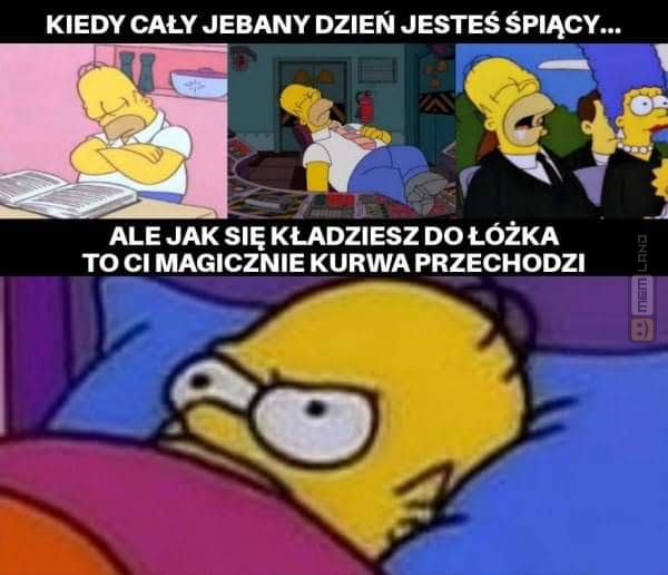 Śmieszny mem: 3318775 - MemLand