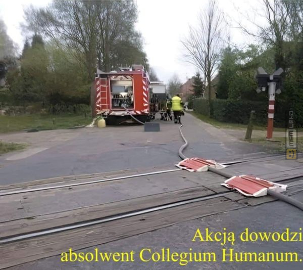 Śmieszny mem: 3320549 - MemLand