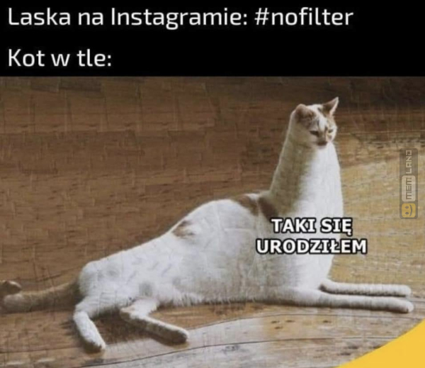 Śmieszny mem: 3322928 - MemLand