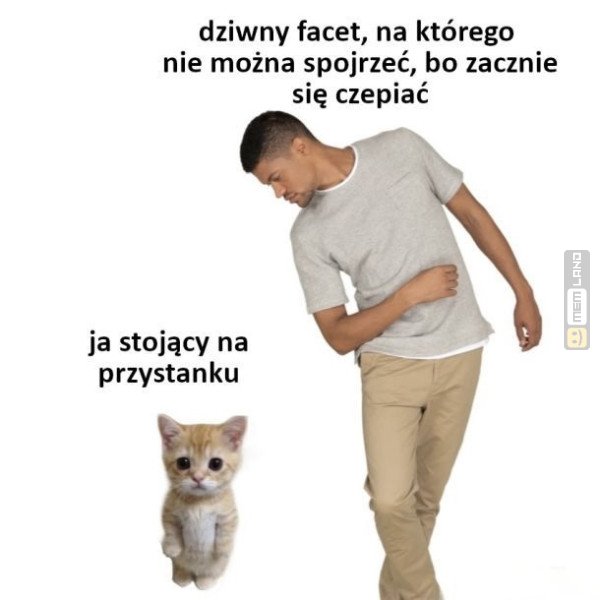Śmieszny mem: 3323675 - MemLand