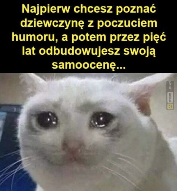 Śmieszny mem: 3326813 - MemLand
