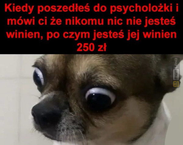 Śmieszny mem: 3326986 - MemLand