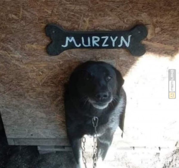 Śmieszny mem: 3327881 - MemLand