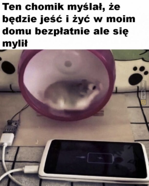 Śmieszny mem: 3334876 - MemLand