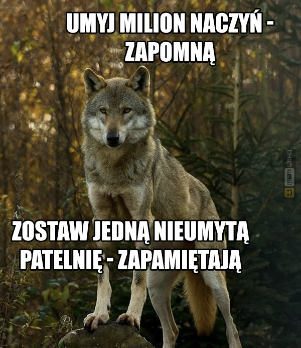 Śmieszny mem: 3341810 - MemLand