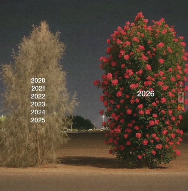 Śmieszny mem: 3343991 - MemLand