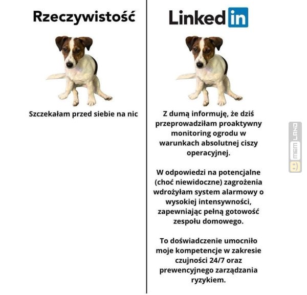 Śmieszny mem: 3344891 - MemLand