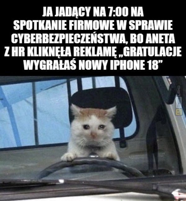 Śmieszny mem: 3346769 - MemLand
