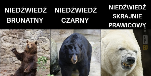 Śmieszny mem: 3349017 - MemLand