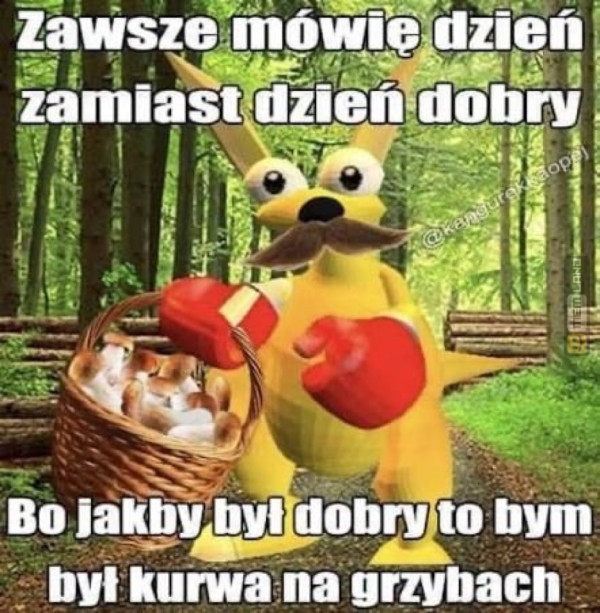 Śmieszny mem: 3353072 - MemLand