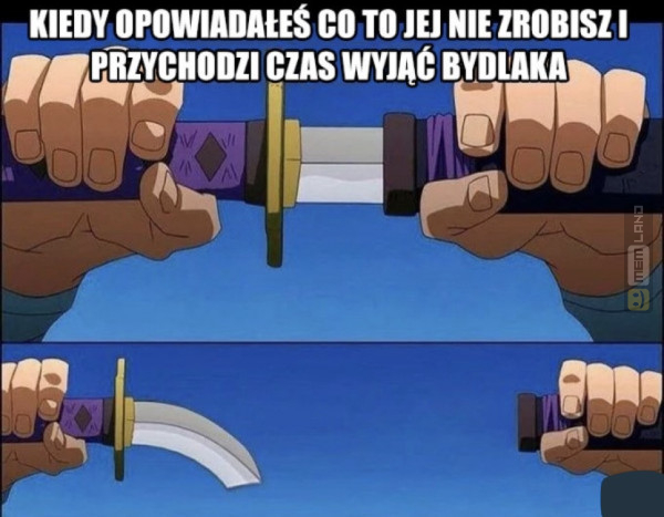 Śmieszny mem: 3353266 - MemLand