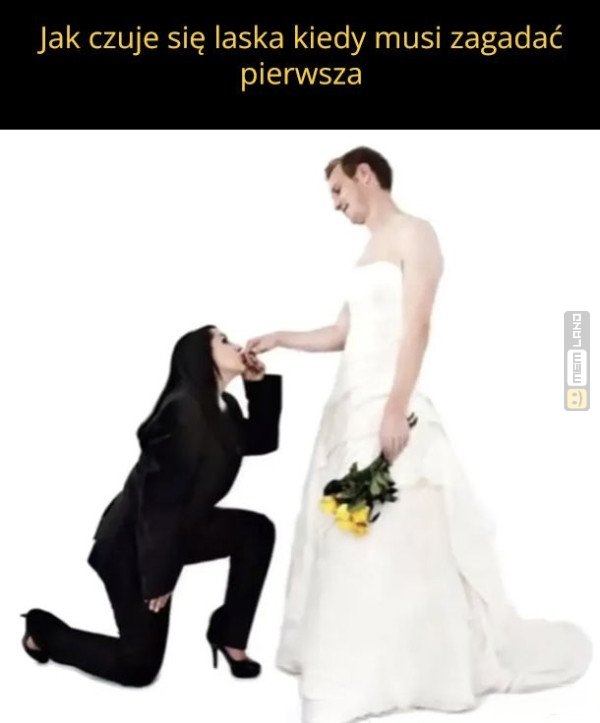 Śmieszny mem: 3355551 - MemLand