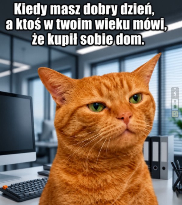 Śmieszny mem: 3356155 - MemLand