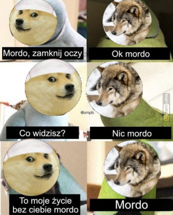 Śmieszny mem: 3356482 - MemLand