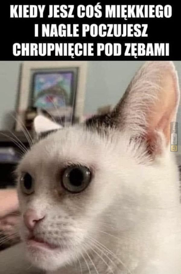 Śmieszny mem: 3365927 - MemLand