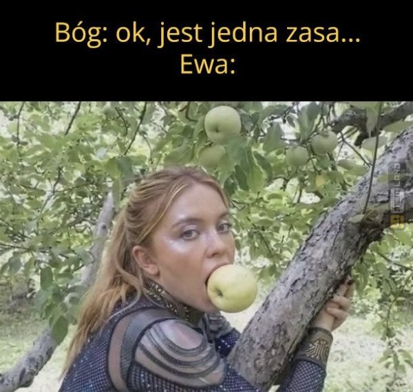 Śmieszny mem: 3366040 - MemLand