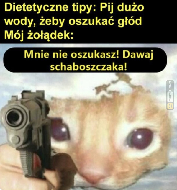 Śmieszny mem: 3372060 - MemLand