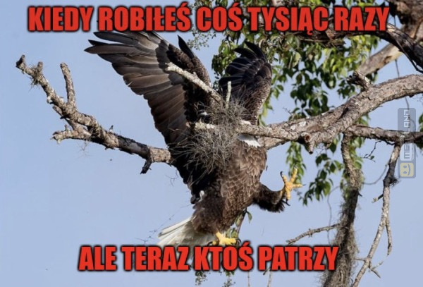 Śmieszny mem: 3372897 - MemLand