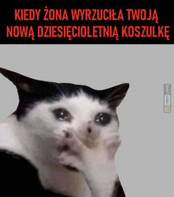 Śmieszny mem: 3373210 - MemLand
