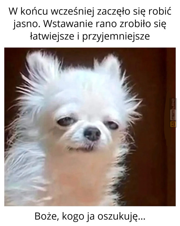 Śmieszny mem: 3374561 - MemLand