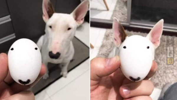 Śmieszny mem: 3374833 - MemLand