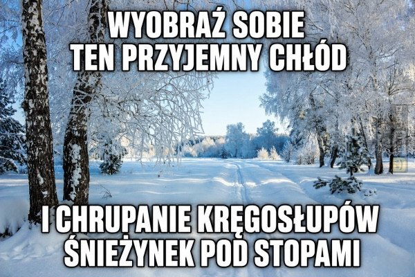 Śmieszny mem: 3374916 - MemLand