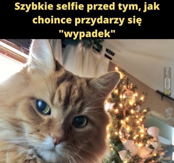 Śmieszny mem: 3389620 - MemLand