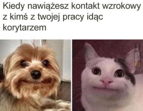 Śmieszny mem: 3396229 - MemLand