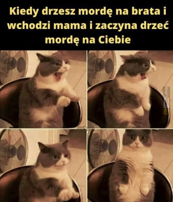 Śmieszny mem: 3399655 - MemLand