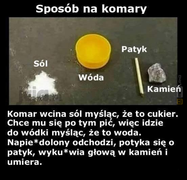 Śmieszny mem: 3403848 - MemLand