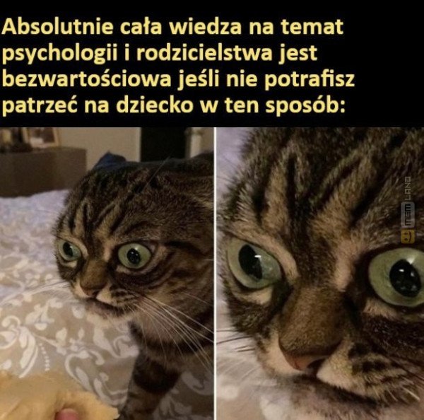 Śmieszny mem: 3404934 - MemLand