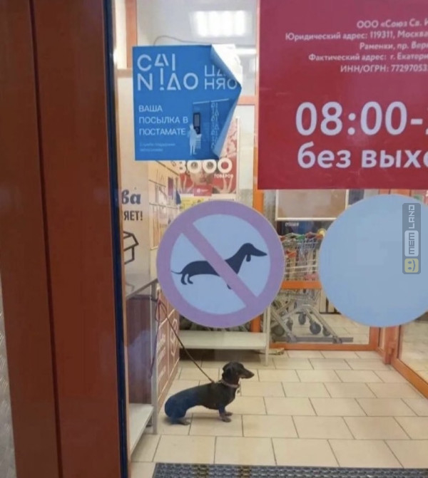 Śmieszny mem: 3407050 - MemLand