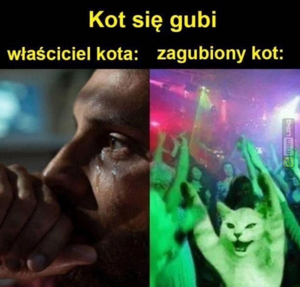 Śmieszny mem: 3418335 - MemLand