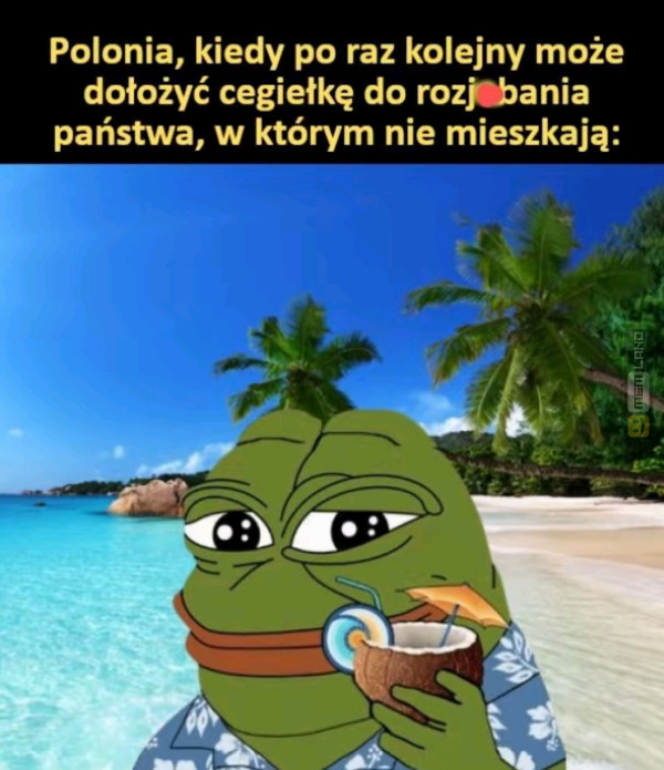Śmieszny mem: 3421858 - MemLand