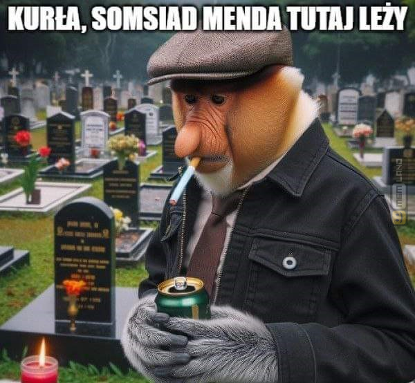 Śmieszny mem: 3422834 - MemLand