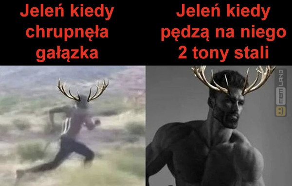 Śmieszny mem: 3423658 - MemLand