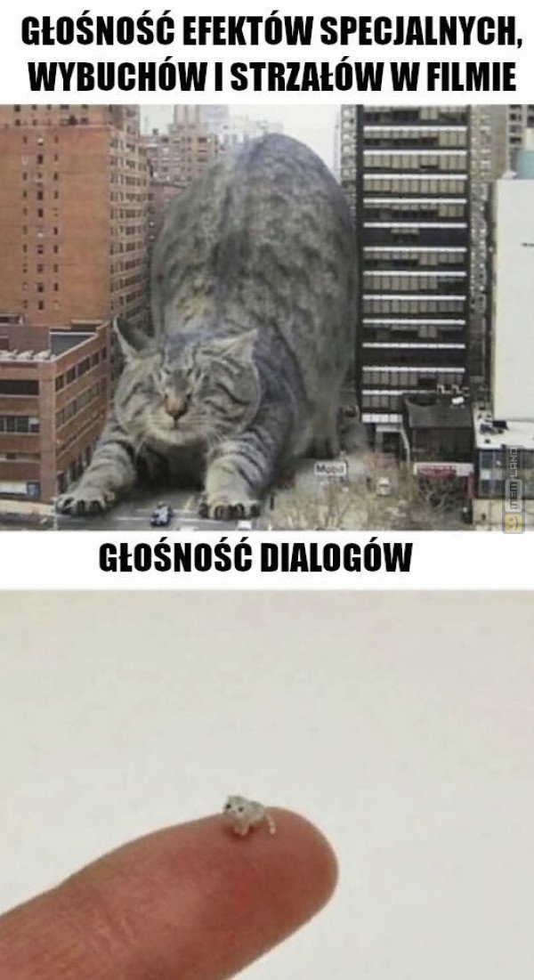 Śmieszny mem: 3436882 - MemLand