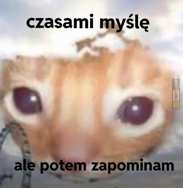 Śmieszny mem: 3437459 - MemLand