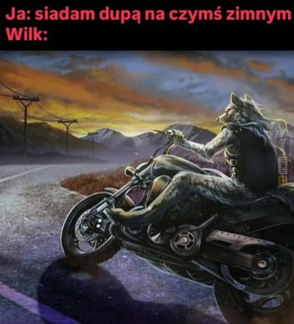 Śmieszny mem: 3438435 - MemLand